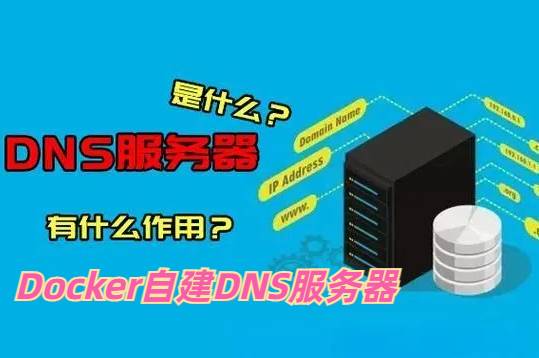 Docker搭建一款轻量级个人自用DNS服务器