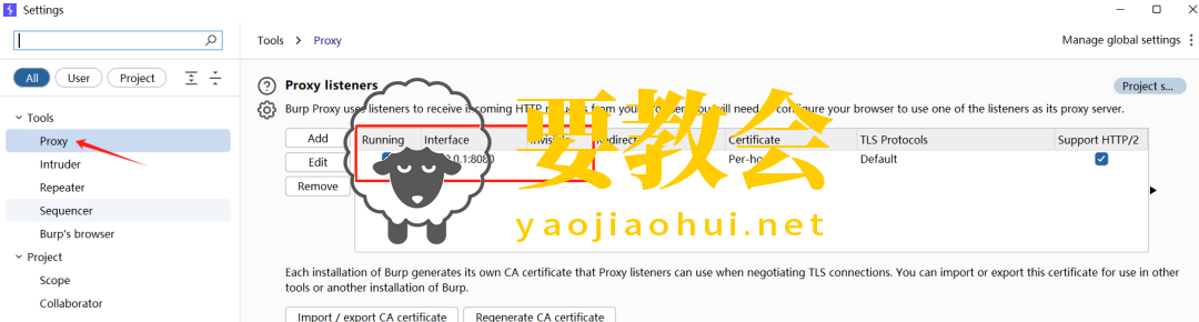 要教会.png