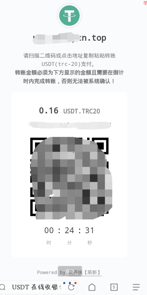 一款适用于彩虹易支付的 USDT（TRC20）收款插件.png