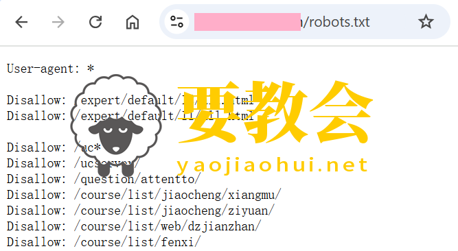Robots.txt配置：新手如何写好这份网站通行证？