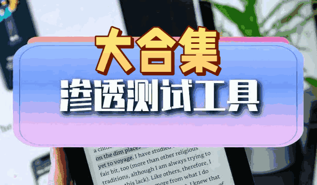 2025版最新渗透测试工具大合集，网络安全零基础入门到精通（值得收藏）
