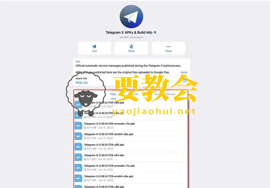 100%解决Telegram收不到短信验证码问题【附避坑技巧】